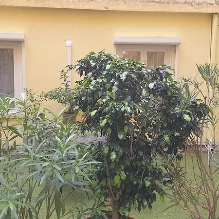 Emme Neuf Independant Centre * Nice